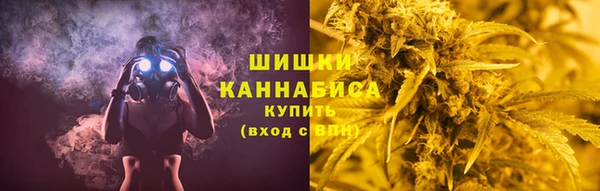 ПСИЛОЦИБИНОВЫЕ ГРИБЫ Покров