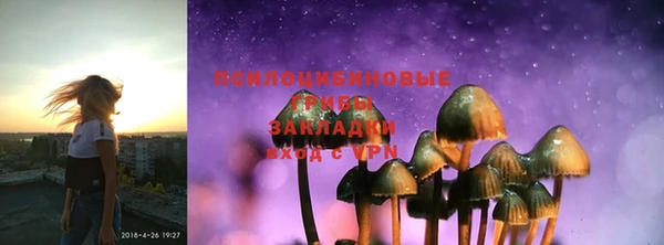 ГАЛЛЮЦИНОГЕННЫЕ ГРИБЫ Дрезна
