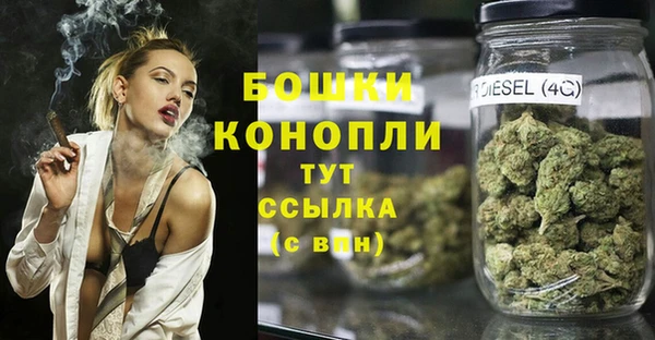 ГАЛЛЮЦИНОГЕННЫЕ ГРИБЫ Дрезна