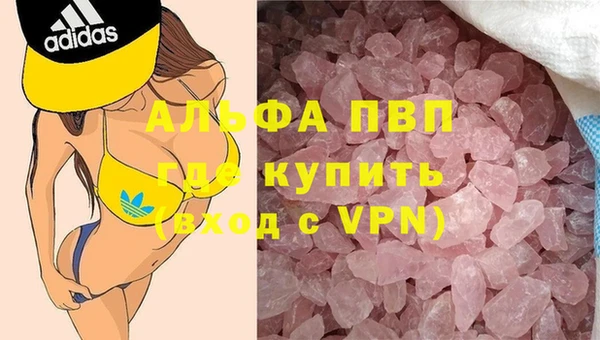 индика Бронницы