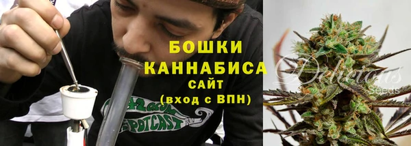 ПСИЛОЦИБИНОВЫЕ ГРИБЫ Покров